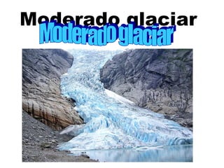 Moderado glaciar
 