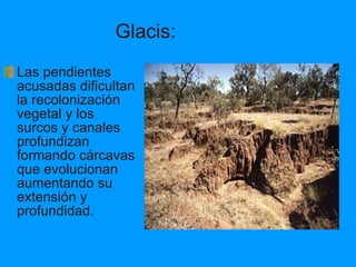 Glacis: Las pendientes acusadas dificultan la recolonización vegetal y los surcos y canales profundizan formando cárcavas que evolucionan aumentando su extensión y profundidad. 