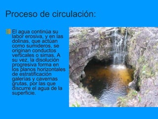 Proceso de circulación: El agua continúa su labor erosiva, y en las dolinas, que actúan como sumideros, se originan conductos verticales o simas. A su vez, la disolución progresiva forma en los planos horizontales de estratificación galerías y cavernas grutas, por las que discurre el agua de la superficie. 