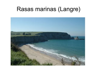 Rasas marinas (Langre) 