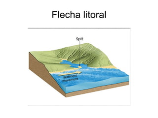 Flecha litoral 