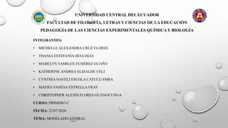 UNIVERSIDAD CENTRAL DEL ECUADOR
FACULTAD DE FILOSOFÍA, LETRAS Y CIENCIAS DE LA EDUCACIÓN
PEDAGOGÍA DE LAS CIENCIAS EXPERIMENTALES QUÍMICA Y BIOLOGÍA
INTEGRANTES:
• MICHELLE ALEXANDRA CRUZ FLORES
• THANIA ESTEFANÍA DÍAS DÍAS
• MABELYN YAMILEX ECHÉREZ GUAÑO
• KATHERINE ANDREA ELIZALDE CELI
• CYNTHIA NAYELI ESCOLA CATUCUAMBA
• MAYRA VANESA ESTRELLA FRAY
• CHRISTOPHER ALEXIS FLORES GUANOCUNGA
CURSO: PRIMERO C
FECHA: 22/07/2020
TEMA: MODELADO LITORAL
 