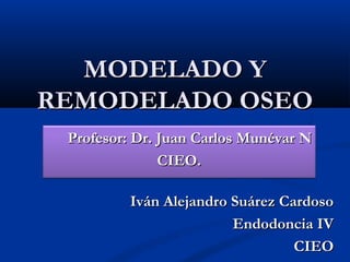 MODELADO Y
REMODELADO OSEO
 Profesor: Dr. Juan Carlos Munévar N
               CIEO.

         Iván Alejandro Suárez Cardoso
                        Endodoncia IV
                                 CIEO
 