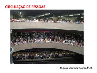 Rodrigo Machado Tavares, Ph.D.
 