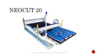 Docente responsável: Carolina Domingues
 