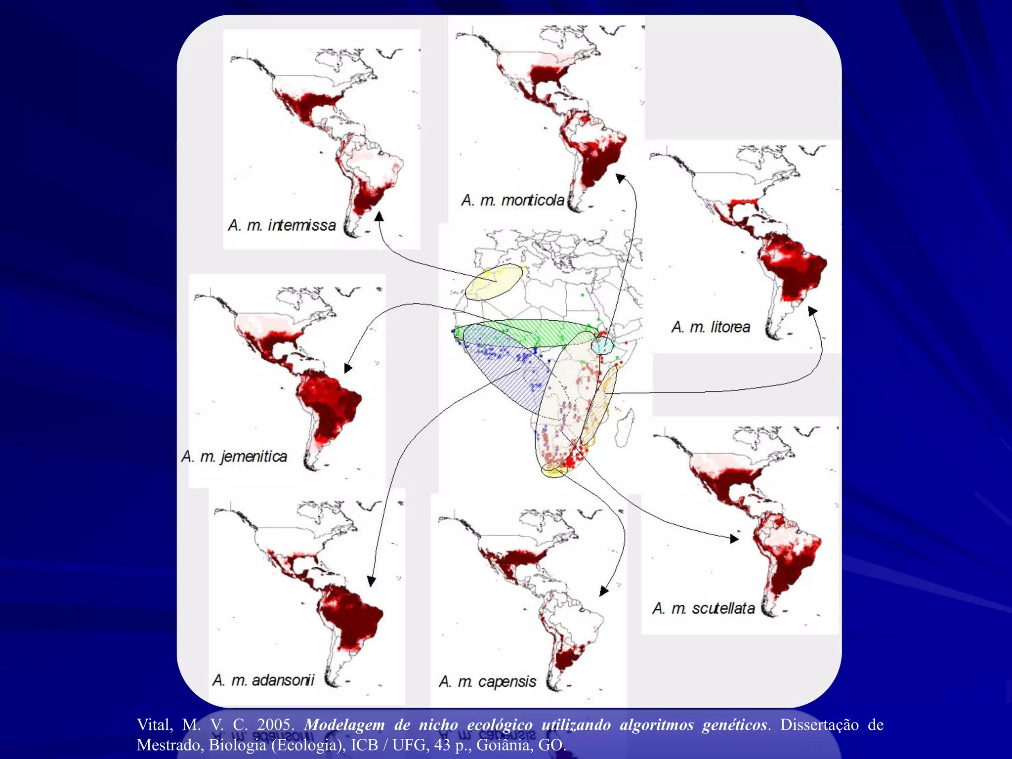 Vital, M. V. C. 2005. Modelagem de nicho ecológico utilizando algoritmos genéticos. Dissertação de
Mestrado, Biologia (Ecologia), ICB / UFG, 43 p., Goiânia, GO.
 