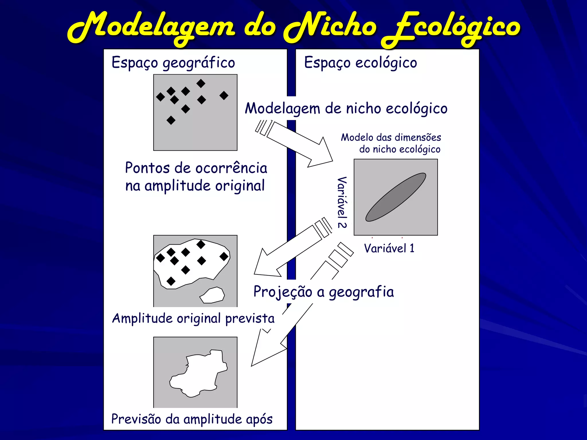 Modelagem do Nicho Ecológico
  Espaço geográfico
  Geographic Space
                                                    Espaço ecológico
                                                   Ecological Space




                                       Modelagem de nicho ecológico
                                        ecological niche modeling


                                                             Modelo das dimensões
                                                              Model of niche in ecological
                                                                do nicho ecológico
                                                                     dimensions
     occurrence points on native distribution
     Pontos de ocorrência




                                                               precipitation
     na amplitude original




                                                          Variável 2
                                                                                temperature
                                                                               Variável 1


                                         Projeção a geografia
                                          Projection back onto geography


  Amplituderange prediction
       Native original prevista




  Previsão da amplitude após
       Invaded range prediction
 