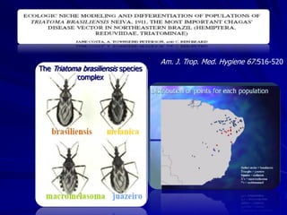 Am. J. Trop. Med. Hygiene 67:516-520
The Triatoma brasiliensis species
           complex
 