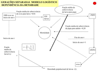 GERAÇÕES SEPARADAS  MODELO LOGÍSTICO  DEPENDÊNCIA DA DENSIDADE 1000 ovos no início do ano t Início do ano t Fração média de sobrevivência de ovos para larva =0,92 920 larvas pupas Fração média de  sobrevivência de larva para pupa  ovos Fração média de sobrevivência de pupa para adulto =0,20 Fim do ano t Início do ano t+1 adultos Mortalidade Fração média de  sobrevivência larval  (s) c L max Densidade populacional de larvas  (L) 