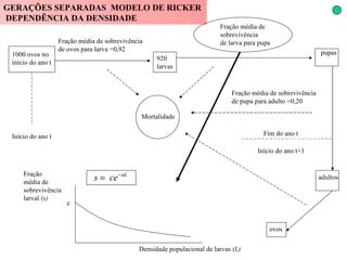 GERAÇÕES SEPARADAS  MODELO DE RICKER  DEPENDÊNCIA DA DENSIDADE 1000 ovos no início do ano t Início do ano t Fração média de sobrevivência de ovos para larva =0,92 920 larvas pupas Fração média de  sobrevivência de larva para pupa  Fração média de  sobrevivência larval  (s) c Densidade populacional de larvas  (L) ovos Fração média de sobrevivência de pupa para adulto =0,20 Fim do ano t Início do ano t+1 adultos Mortalidade 