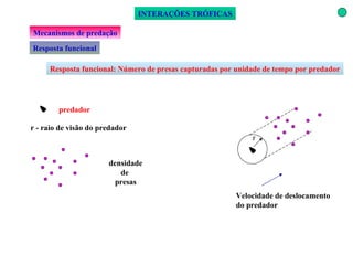 Mecanismos de predação Resposta funcional: Número de presas capturadas por unidade de tempo por predador r - raio de visão do predador INTERAÇÕES TRÓFICAS Resposta funcional Velocidade de deslocamento do predador r predador densidade de  presas 