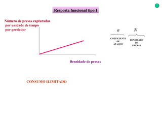 Resposta funcional tipo I Densidade de presas Número de presas capturadas por unidade de tempo por predador CONSUMO ILIMITADO COEFICIENTE  DE  ATAQUE DENSIDADE DE PRESAS 