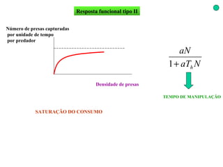 Resposta funcional tipo II Densidade de presas Número de presas capturadas por unidade de tempo por predador SATURAÇÃO DO CONSUMO TEMPO DE MANIPULAÇÃO 