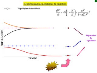 Multiplicidade de populações de equilíbrio Populações de equilíbrio Populações de  equilíbrio EXTINÇÃO 