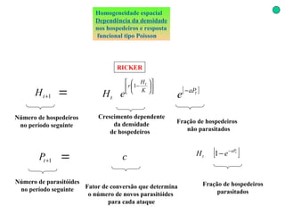 Homogeneidade espacial Dependência da densidade nos hospedeiros e resposta funcional tipo Poisson RICKER Número de hospedeiros no período seguinte Crescimento dependente da densidade  de hospedeiros   Número de parasitóides no período seguinte Fator de conversão que determina o número de novos parasitóides  para cada ataque Fração de hospedeiros  não parasitados Fração de hospedeiros parasitados 