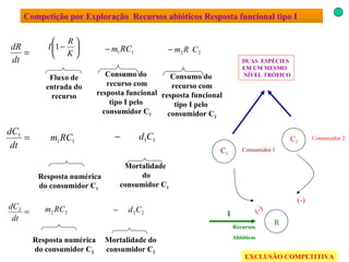 Competição por Exploração  Recursos abióticos Resposta funcional tipo I DUAS  ESPÉCIES EM UM MESMO NÍVEL TRÓFICO EXCLUSÃO COMPETITIVA (-) (-) Resposta numérica do consumidor C 2 Fluxo de entrada do recurso Consumo do  recurso com resposta funcional tipo I pelo  consumidor C 1 Resposta numérica do consumidor C 1   Mortalidade do consumidor C 1   Mortalidade do consumidor C 2 R Recursos Abióticos I Consumo do  recurso com resposta funcional tipo I pelo  consumidor C 2 C 2 Consumidor 2 C 1 Consumidor 1 