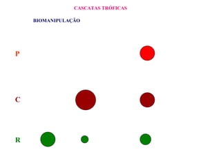 CASCATAS TRÓFICAS BIOMANIPULAÇÃO R C P 