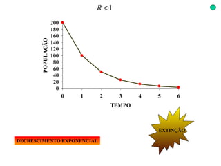 DECRESCIMENTO EXPONENCIAL EXTINÇÃO 
