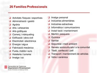 26 Famílies Professionals
❑ Activitats físiques i esportives
❑ Administració i gestió
❑ Agrària
❑ Arts i artesanies
❑ Arts gràfiques
❑ Comerç i màrqueting
❑ Edificació i obra civil
❑ Electricitat i electrònica
❑ Energia i aigua
❑ Fabricació mecànica
❑ Fusta, moble i suro
❑ Hoteleria i turisme
❑ Imatge i so
❑ Imatge personal
❑ Indústries alimentàries
❑ Indústries extractives
❑ Informàtica i comunicacions
❑ Instal·lació i manteniment
❑ Marítim pesquera
❑ Química
❑ Sanitat
❑ Seguretat i medi ambient
❑ Serveis socioculturals i a la comunitat
❑ Tèxtil, confecció i pell
❑ Transport i manteniment de vehicles
❑ Vidre i ceràmica
 