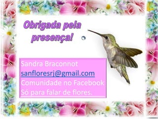 Sandra Braconnot
sanfloresrj@gmail.com
Comunidade no Facebook
Só para falar de flores.
