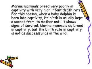 Marine mammals breed very poorly in
captivity with very high infant death rates.
For this reason, when a baby dolphin is
born into captivity, its birth is usually kept
a secret from its mother until it shows
signs of survival. Marine mammals do breed
in captivity, but the birth rate in captivity
is not as successful as in the wild.
 