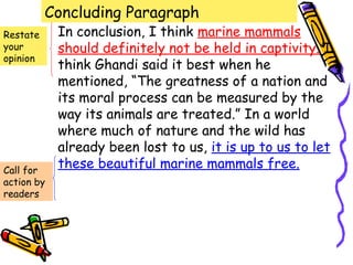 Concluding Paragraph
Restate     In conclusion, I think marine mammals
your        should definitely not be held in captivity. I
opinion
            think Ghandi said it best when he
            mentioned, “The greatness of a nation and
            its moral process can be measured by the
            way its animals are treated.” In a world
            where much of nature and the wild has
            already been lost to us, it is up to us to let
Call for
            these beautiful marine mammals free.
action by
readers
 