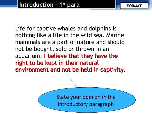 marine life essay conclusion