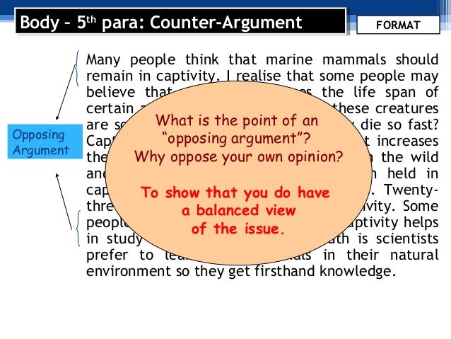 argument essay format
