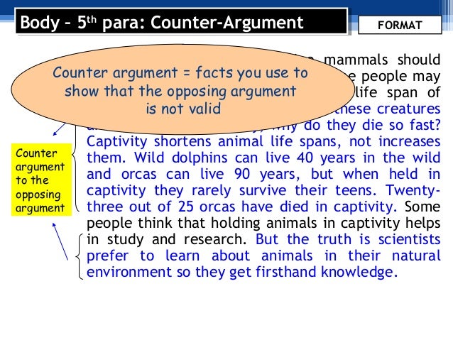 Essay Page Counter