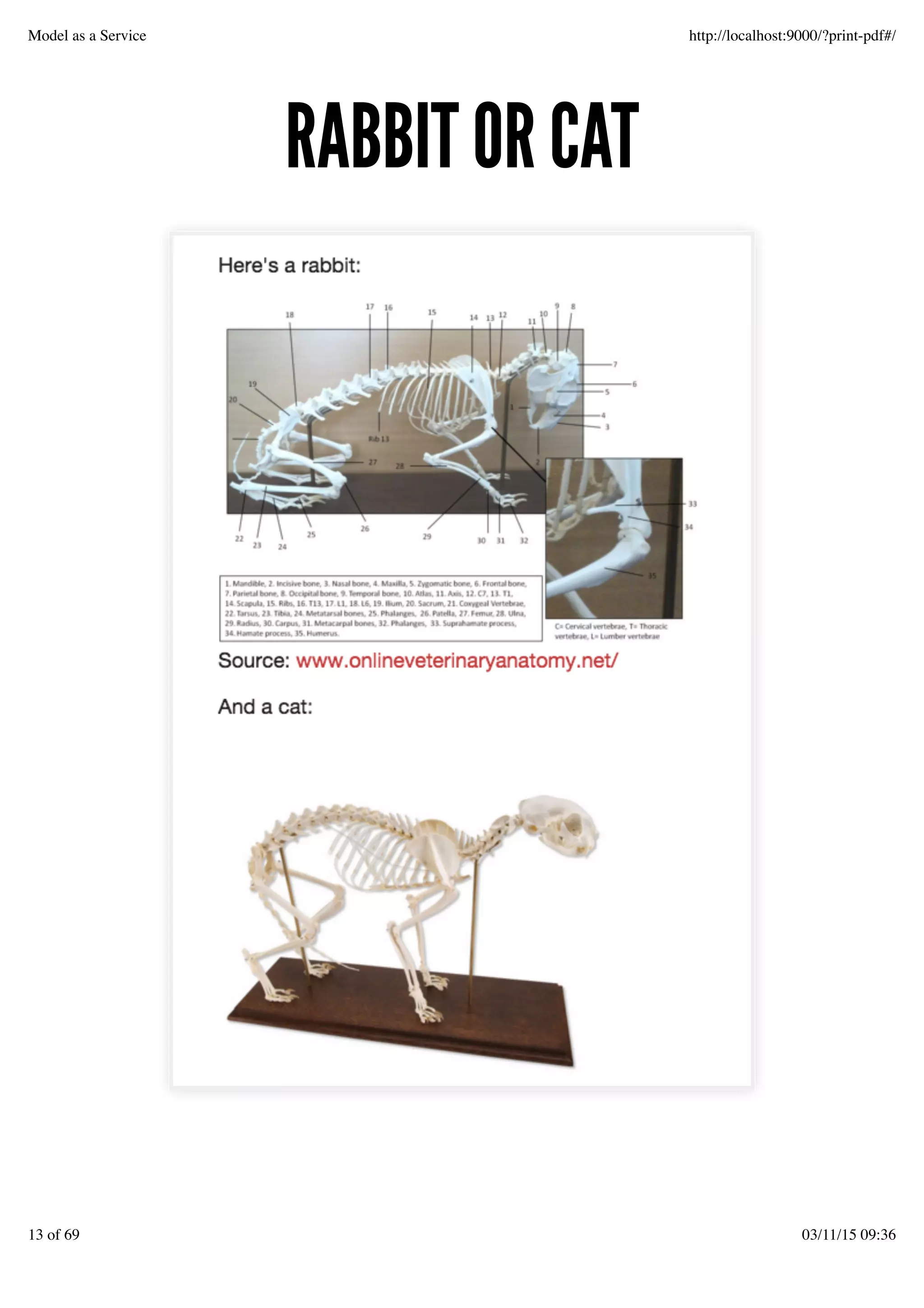 RABBIT OR CATRABBIT OR CAT
Model as a Service http://localhost:9000/?print-pdf#/
13 of 69 03/11/15 09:36
 