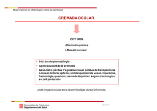 Model d’atenció en oftalmologia i criteris de planificació
24 de 41
CREMADA OCULAR
OFT URG
 Cremada química
 Abrasió corneal
• Inicide simptomatologia
• Agentcausantde la cremada
• Associata: pèrduad’agudesavisual,pèrdua detransparència
corneal,defecte epitelial,emblanquimentde vasos,hiperèmia,
hemorràgia,quemosi,cremadade primer,segon o tercergrau
en pell periocular
Nota:irrigació ocularamb sèrum fisiològic durant30 minuts.
 