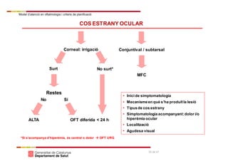 Model d’atenció en oftalmologia i criteris de planificació
30 de 41
COS ESTRANY OCULAR
MFC
Conjuntival / subtarsalCorneal: irrigació
Surt No surt*
Restes
ALTA OFT diferida < 24 h
*Si s’acompanya d’hiperèmia, és central o dolor  OFT URG
• Inicide simptomatologia
• Mecanismeen què s’ha produïtla lesió
• Tipusde cos estrany
• Simptomatologia acompanyant:dolor i/o
hiperèmia ocular
• Localització
• Agudesa visual
No Sí
 