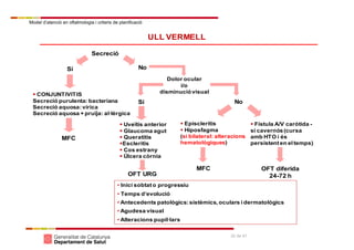 Model d’atenció en oftalmologia i criteris de planificació
32 de 41
ULL VERMELL
Secreció
Dolor ocular
i/o
disminucióvisual
Sí No
NoSí
 CONJUNTIVITIS
Secreció purulenta: bacteriana
Secreció aquosa: vírica
Secreció aquosa + pruïja: al·lèrgica
 Episcleritis
 Hiposfagma
(si bilateral: alteracions
hematològiques)
 Uveïtis anterior
 Glaucoma agut
 Queratitis
Escleritis
 Cos estrany
 Úlcera còrnia
OFT diferida
24-72 h
MFC
OFT URG
 Fístula A/V caròtida -
si cavernós(cursa
amb HTO i és
persistent en el temps)
MFC
• Inici sobtat o progressiu
• Temps d’evolució
• Antecedents patològics: sistèmics, oculars i dermatològics
• Agudesa visual
• Alteracions pupil·lars
 