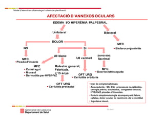 Model d’atenció en oftalmologia i criteris de planificació
33 de 41
AFECTACIÓ D’ANNEXOS OCULARS
EDEMA I/O HIPERÈMIA PALPEBRAL
Unilateral Bilateral
Ull blanc
Ull vermell
MFC
Malestar general,
Febrícula,
< 15 anys
MFC
OFT URG
 Calazi agut
 Mussol
 Dermatitis per HVS/HVZ
 Cel·lulitis preseptal
 Dacriocistitis aguda
 Blefaroconjuntivitis
• Inici de simptomatologia
• Antecedents: SS, DM, processos neoplàstics,
cirurgia prèvia, traumàtics, congestió sinusal,
HVS/HVZ, picades d’insectes.
• Referir simptomatologia acompanyant: febre,
cefalea, dolor ocular i/o restricció de la motilitat
• Agudesa visual.
OFT URG
 Cel·lulitis orbitària
zona sac
llacrimal
DOLOR
Si
Picada d'insecte
NO
MFC
MFC
 