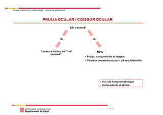 Model d’atenció en oftalmologia i criteris de planificació
37 de 41
Ull vermell
NoSí
MFC
PRUÏJAOCULAR / COÏSSOR OCULAR
 Pruïja: conjuntivitis al·lèrgica
 Coïssor (molèstia ocular): ull sec, blefaritis
Passeua l’arbre de l’“ull
vermell”
• Inici de simptomatologia
• Antecedents d’atòpia
 