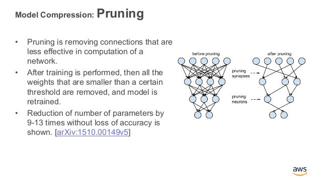 AI On the Edge: Model Compression