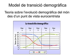 Model de transició demogràfica
Teoria sobre l’evolució demogràfica del món
des d’un punt de vista eurocentrista
 