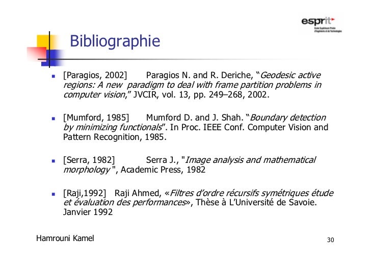 Exemple De Bibliographie Pfe  hadiselamet