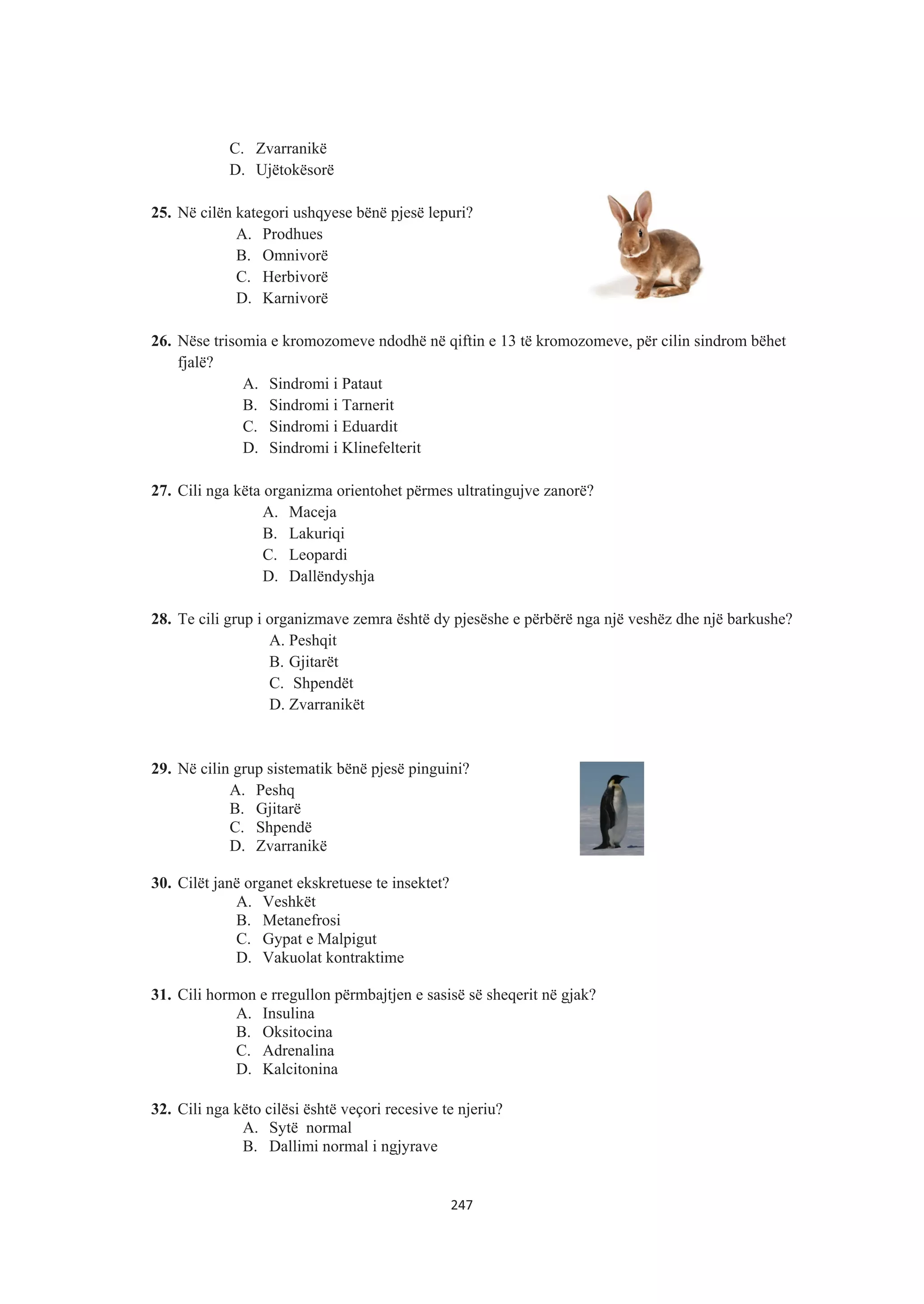 C. Zvarranikë
D. Ujëtokësorë
25. Në cilën kategori ushqyese bënë pjesë lepuri?
A. Prodhues
B. Omnivorë
C. Herbivorë
D. Karnivorë
26. Nëse trisomia e kromozomeve ndodhë në qiftin e 13 të kromozomeve, për cilin sindrom bëhet
fjalë?
A. Sindromi i Pataut
B. Sindromi i Tarnerit
C. Sindromi i Eduardit
D. Sindromi i Klinefelterit
27. Cili nga këta organizma orientohet përmes ultratingujve zanorë?
A. Maceja
B. Lakuriqi
C. Leopardi
D. Dallëndyshja
28. Te cili grup i organizmave zemra është dy pjesëshe e përbërë nga një veshëz dhe një barkushe?
A. Peshqit
B. Gjitarët
C. Shpendët
D. Zvarranikët
29. Në cilin grup sistematik bënë pjesë pinguini?
A. Peshq
B. Gjitarë
C. Shpendë
D. Zvarranikë
30. Cilët janë organet ekskretuese te insektet?
A. Veshkët
B. Metanefrosi
C. Gypat e Malpigut
D. Vakuolat kontraktime
31. Cili hormon e rregullon përmbajtjen e sasisë së sheqerit në gjak?
A. Insulina
B. Oksitocina
C. Adrenalina
D. Kalcitonina
32. Cili nga këto cilësi është veçori recesive te njeriu?
A. Sytë normal
B. Dallimi normal i ngjyrave
247
 