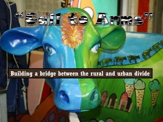 Building a bridge between the rural and urban divide
 