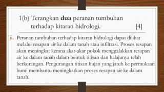 1(b) Terangkan dua peranan tumbuhan
terhadap kitaran hidrologi. [4]
ii. Peranan tumbuhan terhadap kitaran hidrologi dapat dilihat
melalui resapan air ke dalam tanah atau infiltrasi. Proses resapan
akan meningkat kerana akar-akar pokok menggalakkan resapan
air ke dalam tanah dalam bentuk titisan dan halajunya telah
berkurangan. Pengurangan titisan hujan yang jatuh ke permukaan
bumi membantu meningkatkan proses resapan air ke dalam
tanah.
 