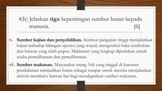 4(b) Jelaskan tiga kepentingan sumber hutan kepada
manusia. [6]
v. Sumber kajian dan penyelidikan. Institusi pangajian tinggi menjalankan
kajian terhadap bilangan spesies yang wujud, mengetahui baka tumbuhan
dan haiwan yang telah pupus. Maklumat yang lengkap diperlukan untuk
usaha pemeliharaan dan pemuliharaan.
vi. Sumber makanan. Masyarakat orang Asli yang tinggal di kawasan
pendalaman menjadikan hutan sebagai tempat untuk mereka menjalankan
aktiviti memburu haiwan liar bagi mendapatkan sumber makanan.
air
 