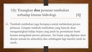 1(b) Terangkan dua peranan tumbuhan
terhadap kitaran hidrologi. [4]]
iii. Tumbuh-tumbuhan juga berupaya untuk melakukan proses
pintasan. Litupan tumbuh-tumbuhan yang banyak akan
mengurangkan halaju hujan yang jatuh ke permukaan bumi
kerana mengalami proses pintasan. Air hujan yang dipintas akan
disejat semula ke atmosfera dan sebahagian lagi menitis jatuh ke
tanah.
 