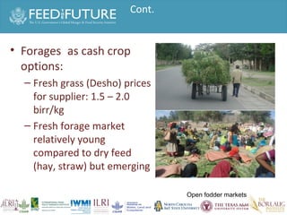 Experiences irrigated forages 