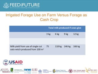 Experiences irrigated forages 