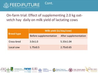 Experiences irrigated forages 