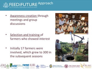 Experiences irrigated forages 