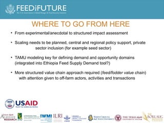 Experiences irrigated forages 