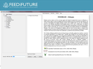 Experiences irrigated forages 