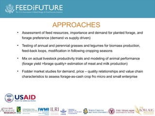 Experiences irrigated forages 